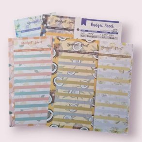 Budget ark - motiver