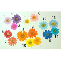 Lene nglering - med flager og blomster