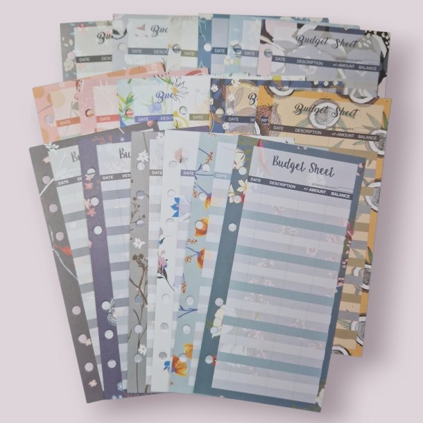 Budget ark - motiver