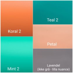 Budget binder - Simpel forside